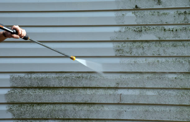 Best Certified Mold Removal  in Warrenton, OR