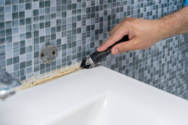 Professional Mold Removal in Warrenton, OR
